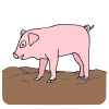 clean_++clean+pig%0D%0AWhere+is+the+clean+pig_ Picture