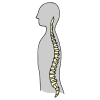 Backbone Picture