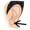 earlobe Picture