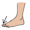 toe Picture