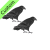 crows Picture