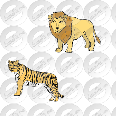 tiger lion Picture