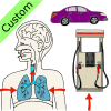Vocal+cords+are+powered+by+air.+Cars+are+powered+by+gas. Picture