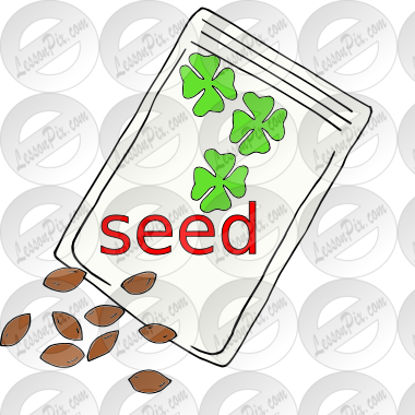seed packet Picture
