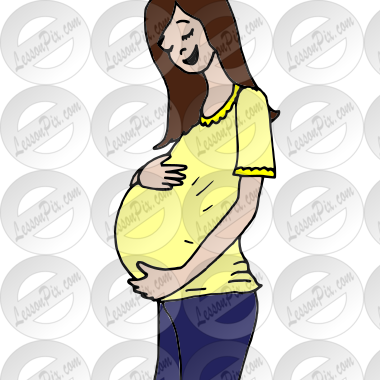 womb Picture