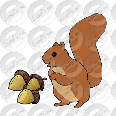 Squirrel is getting acorns Picture