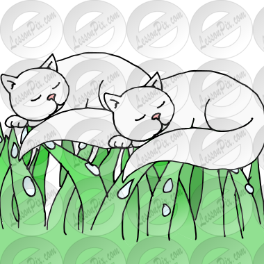Cats are laying on the grass Picture