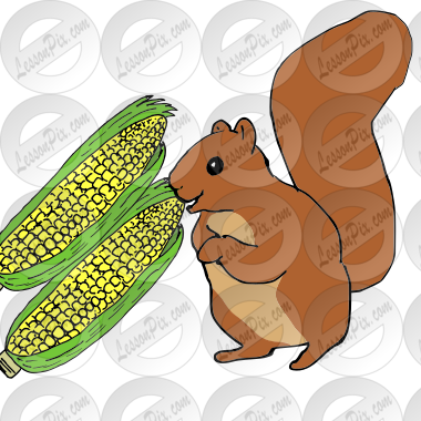 Squirrel is getting corn Picture