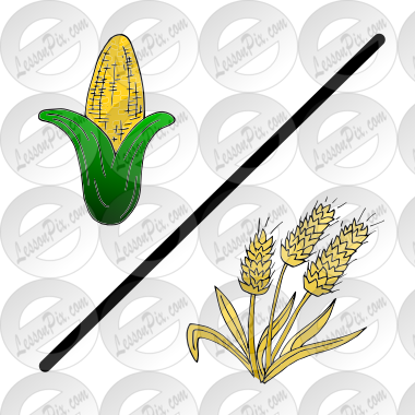 corn/wheat Picture