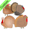 Turkeys Picture