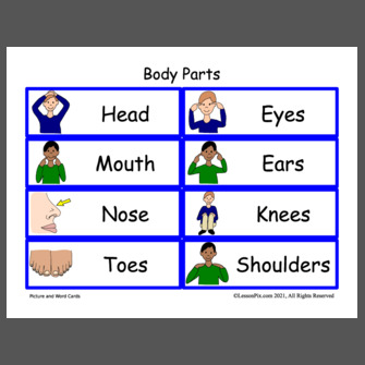 Body Parts