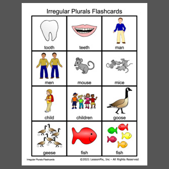 Irregular Plurals Flashcards