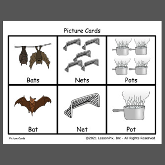Final TS/T minimal pairs cue cards Final TS/T minimal pairs cue cards