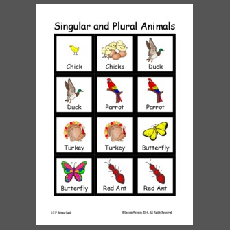Singular and Plural Animals