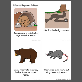 Hibernating animals Book.