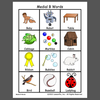 Medial B Words