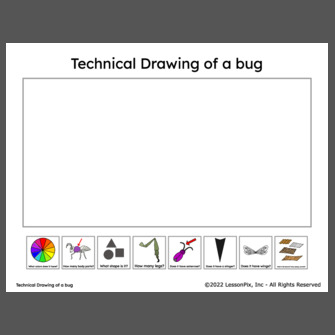 Technical Drawing of a bug