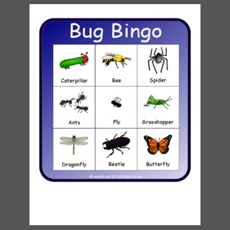 Bug Bingo