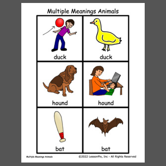 Multiple Meanings Animals
