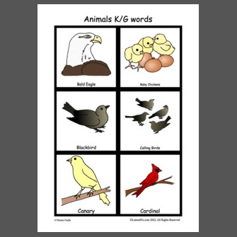 Animals K/G words