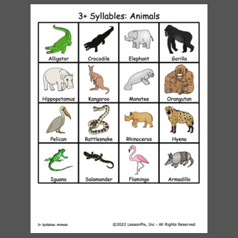 3+ Syllables: Animals