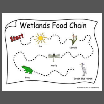 Food chain is a series of organisms, each becoming a food source for the  next.-saigonsouth.com.vn