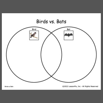 Birds vs. Bats