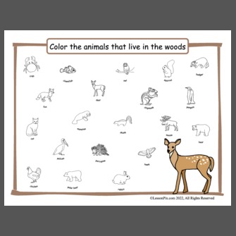 Color the animals that live in the woods