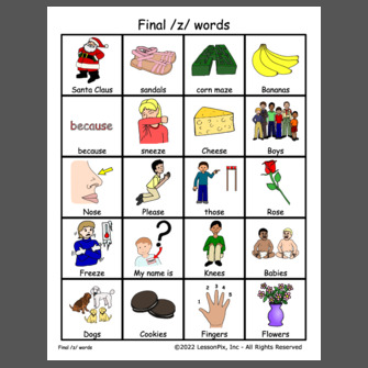Final /z/ words