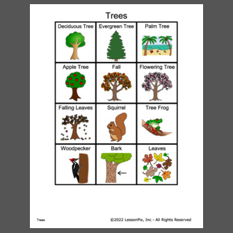 Trees Vocabulary