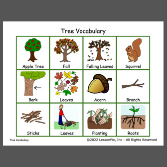 Tree Unit Vocabulary