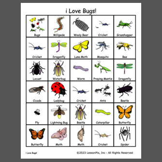 I Love Bugs!