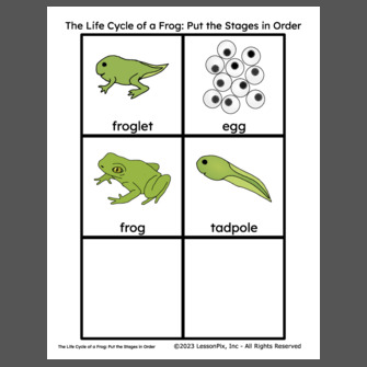 Frog by cycle cheap