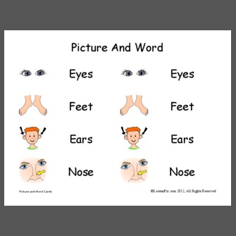 Simple Body Parts Picture And Word