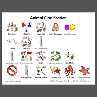 Animal Classification sentences