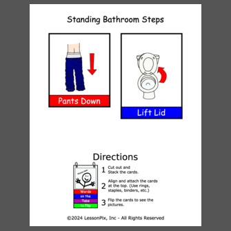 Standing Bathroom Steps