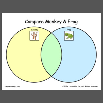 Compare Monkey & Frog