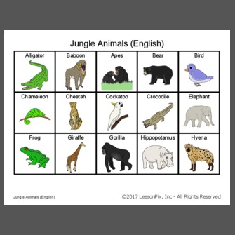 Categories: Jungle Animals (English)