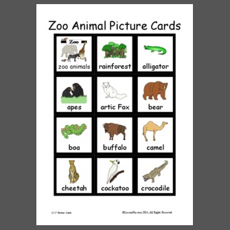 Zoo Animal Picture Cards