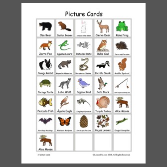 Forest Animals Picture Cards English and Spanish