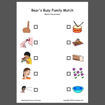 Bear's Busy Family Match