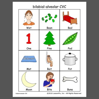 bilabial-alveolar CVC