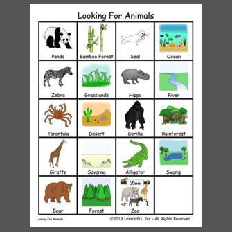 Looking For Animals