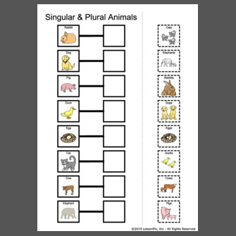 Singular & Plural Animals
