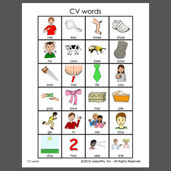 CV words