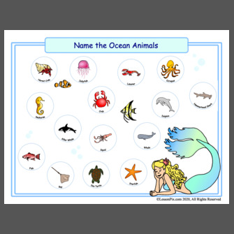 Name the Ocean Animals