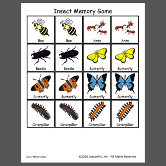 Insect Memory Game