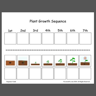 Plant Growth Sequence