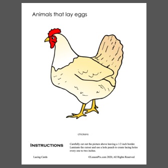 Animals that lay eggs