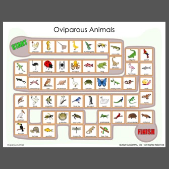 Oviparous Animals